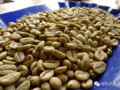 哥伦比亚拉兹默斯庄园对手咖啡种类风味口感市场环境简介
