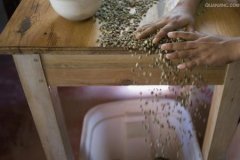 咖啡豆产地之大洋洲篇巴布亚新几内亚咖啡豆起源发展历史文化简介