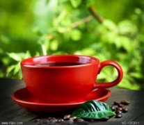 清新淡雅的圣多明各精品咖啡豆风味口感香气特征描述简介