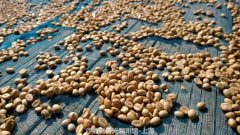 巧克力甜香的波旁精品咖啡豆风味口感香气特征描述简介