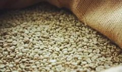 巧克力甜香的波旁精品咖啡豆研磨度烘焙程度处理方法简介