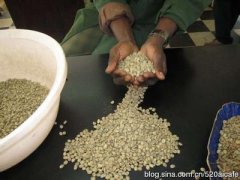 酸度极佳的布隆迪精品咖啡豆起源发展历史文化简介