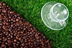 柔和的巴西皇后庄园黄波旁精品咖啡豆种植情况地理位置气候海拔简