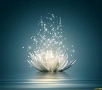 甜味醇厚的拉丁美洲精品咖啡豆种植情况地理位置气候海拔简介