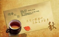 柔滑顺口的多米尼加精品咖啡豆种植情况地理位置气候海拔简介