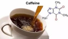 哥斯达黎加坦克庄园口感香味 薇拉沙奇咖啡种类和价格