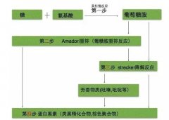 烘焙基础科学，褐变反应非酶促褐变