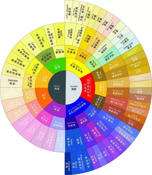 咖啡风味轮：苦味与咸味，酸甜与清甜