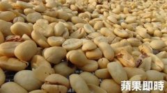 农业部：为提高咖啡产量 50%咖啡园须重新栽种