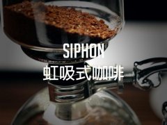 如茶般甘甜的风味、要求精确的冲煮：虹吸式咖啡