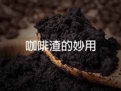 咖啡渣的十二大妙用——居然可以洗脸洗头？