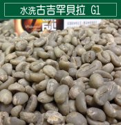 埃塞俄比亚水洗古吉罕贝拉 G1咖啡豆风味口感香气特点描述