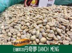 埃塞俄比亚90+ LEVEL UP 日晒丹奇梦Danch Meng咖啡风味口感香气