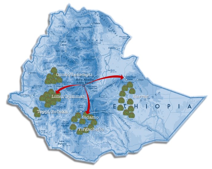 埃塞俄比亚Ethiopia精品咖啡产区Harar哈拉是埃塞俄比亚东部产区