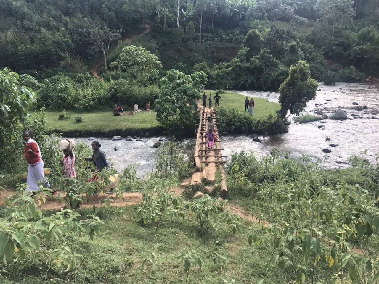 咖啡买手带你前往埃塞俄比亚原产地，揭开咖啡发源地的神秘面纱