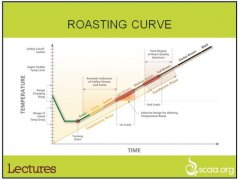 有意思的烘焙曲线(一) 入豆温与回温点的问题