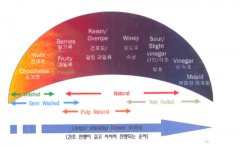 印尼咖啡豆湿刨法对曼特宁有什么影响？曼特宁为什么要用湿刨法？