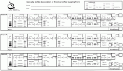 咖啡杯测笔试 SCAA 杯测量表Cupping Form如何使用？