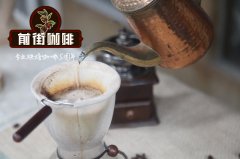 黑咖啡与白咖啡哪个更健康？白咖啡哪个牌子好喝又不贵