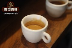 意式浓缩咖啡Espresso与意大利美式咖啡Caffè Americano的金杯准