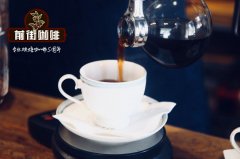 虹吸壶什么牌子好用？入门新手如何选购虹吸壶心得