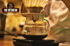 SCA的学分认证系统怎么样？SCA BARISTA课程心得