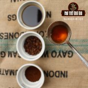 欧洲精品咖啡协会scae国际咖啡师认证课程 scae国际咖啡师证学费