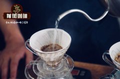 阿拉比卡豆咖啡因含量大吗？阿拉比卡咖啡豆怎么冲？阿拉比卡咖啡