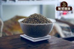 90+系列咖啡的详细介绍  Ninety Plus Coffee 90+咖啡豆价格多少