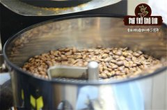 Ninety Plus90+咖啡豆分级制度介绍 咖啡馆90+咖啡多少钱一杯