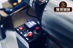 90+烛芒咖啡豆烘焙建议_烛芒咖啡豆多少钱一包_烛芒咖啡风味如何