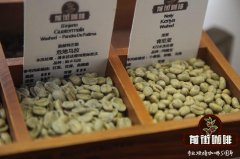 夏威夷可娜咖啡的分级标准_如何辨别真正夏威夷科纳咖啡？