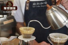 单品咖啡豆推荐|非洲咖啡产区|赞比亚咖啡--茹比丽庄园 AA