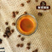 普洱小粒咖啡怎么喝_云南普洱咖啡怎么冲泡_普洱咖啡豆推荐