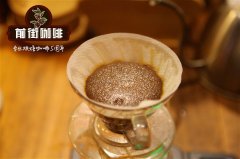 危地马拉薇薇特南果低因咖啡豆推荐 手冲咖啡怎么冲好喝 冲煮参数