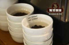 哥斯达黎加中央山谷|Finca Dona Daisy唐娜黛西农场红蜜处理瑰夏