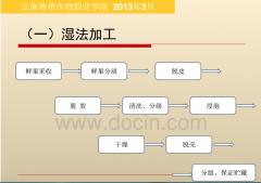 云南小粒咖啡标准化生产技术，鲜果采摘与初加工水洗处理步骤