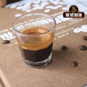 水洗西达摩G1白樱桃咖啡豆适合什么滤杯_手冲白樱桃水洗参数分享