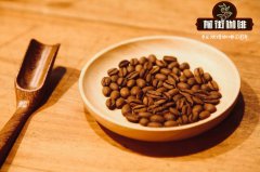 牙买加咖啡历史介绍 怎么判断正宗牙买加蓝山咖啡