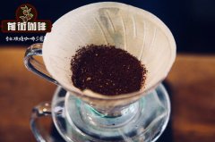 墨西哥咖啡口感描述 墨西哥咖啡怎么冲泡