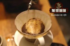 墨西哥咖啡有机咖啡豆品种 墨西哥恰帕斯咖啡处理法分级风味说明