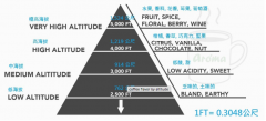 咖啡种植海拔高度与咖啡风味关系 为什么好咖啡豆都在高海拔地区