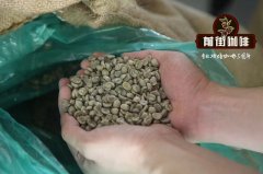 危地马拉安提瓜咖啡豆 圣塞巴斯蒂安农场传家宝咖啡种植杯测特点