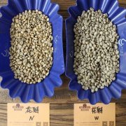 南美洲巴西咖啡产区llicinea黄波旁中度烘焙香味果酸浓度风味描述
