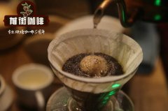 南美咖啡 巴西咖啡咖啡酸度等级 巴西桑托斯咖啡品种咖啡价格