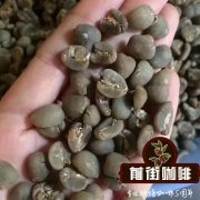巴拿马微气候咖啡种植 巴拿马罗布斯塔咖啡粉品质好吗 咖啡因高？