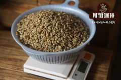 萨尔瓦多LasColinas咖啡合作社介绍 Las Colinas咖啡价格贵吗