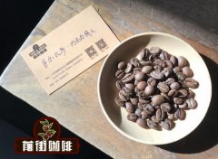 黄金曼巴拼配咖啡4:6 黑曼巴咖啡豆什么味道 曼巴咖啡食用方法