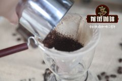 三种冰咖啡比较 V60滤杯 / Hario冷萃壶/ Iwaki冰滴壶冲泡方法