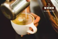 costa咖啡价格表 类似星巴克咖啡店有哪些 costa有什么好喝的推荐